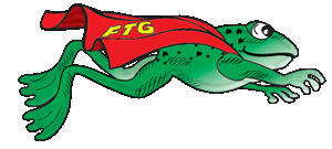 flying-toad-graphics-logo-brand